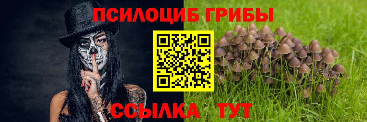 Псилоцибиновые грибы мицелий Прокопьевск