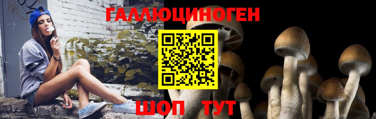 Псилоцибиновые грибы ЛСД  Вход с VPN  закладки  Прокопьевск 